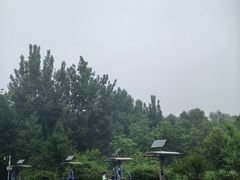 -滨河世纪广场公园