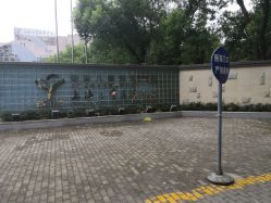 -上海交通大学医学院附属上海儿童医学中心(陆家嘴总院区)