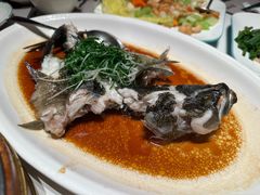 -新兴·金羊座·粤菜点心(乐峰店)