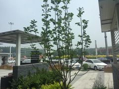 -窦店服务区-停车场