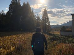 -塔川景区