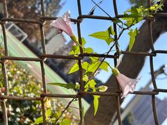 -上海市材料工程学校