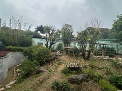 -南宁市动物园