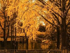 -太平禅寺