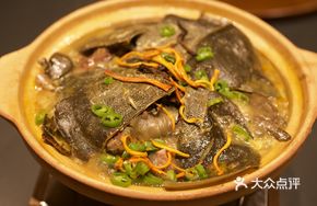 Turtle with Citrus Peel