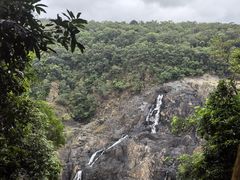 -热带雨林自然公园