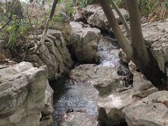 -青枫公园