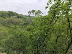 -大青沟风景区