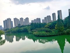 -青枫公园