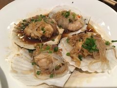 -新白鹿餐厅(百联中环店)