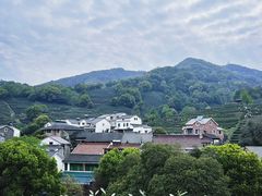 -龙井村