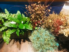 -也枫·小黄楼(南山路旗舰店)