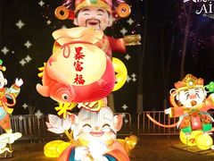 -武汉园博园(武汉自然博物馆)