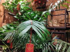 -紫藤燕语(兴澄银座店)