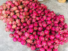 -西双版纳傣族园