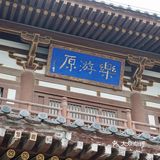 西安青龙寺乐游原踏青赏樱好地