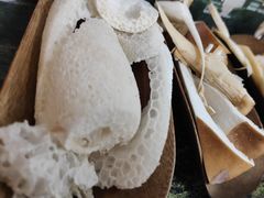 -芸山季·云南野生菌火锅(宝能环球汇店)