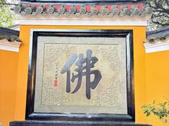 -普陀山慧济禅寺