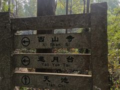 -水濂山森林公园