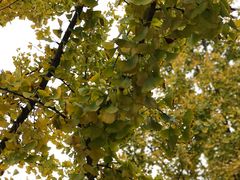 -同济大学四平路校区游泳馆