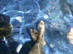 -水晶之星洗浴温泉汗蒸