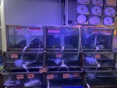 -八仔大富楼·河鲜(西江店)