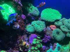 -成都浩海立方海洋公园