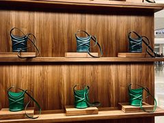 -Alexander McQueen(IAPM环贸广场店)