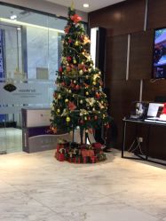 -洁铭新加坡医美