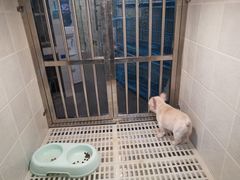 -1013 PET SHOP 宠物商店(近铁城市广场店)