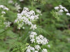 -南山风景名胜区