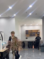 -藤野造型
