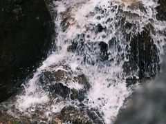-姑婆山旅游区