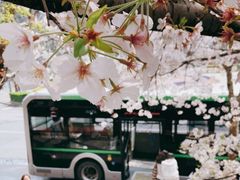-南浦大桥长途旅游客运站