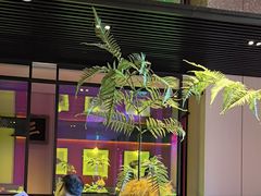 -杏花堂晋商私房菜(华熙五棵松店)