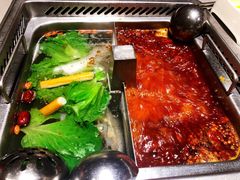 -海底捞火锅(金光华店)