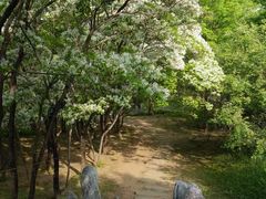 -国家植物园南园