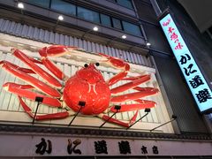 -蟹道乐(道顿堀本店)