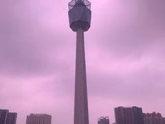 -陕西自然博物馆