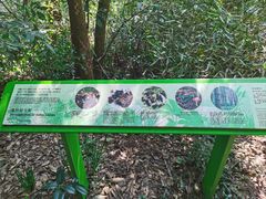 -西湖风景区-江洋畈生态公园