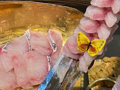-土著渔匠·养生蝴蝶鱼(香樟路店)
