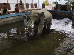 -光头佬钓虾场·烧烤·聚餐·亲子(金沙洲店)