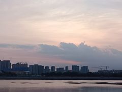 -五缘湾湿地公园