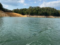 -广州市流溪河国家森林公园