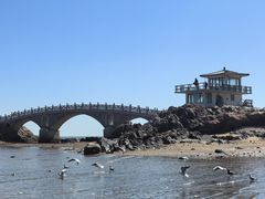 -兴城海滨风景区