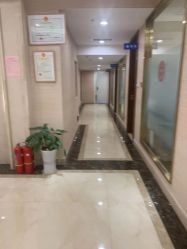 -碧莲盛·不剃发植发