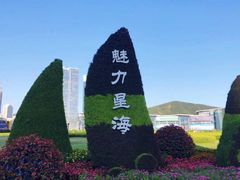 -星海湾跨海大桥