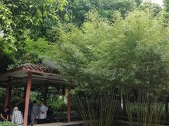 -龙头寺公园