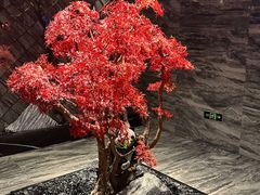 -红辣椒·川菜·火锅(大洋中心店)