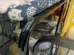 -谜盒子奇幻密室(南屏店)